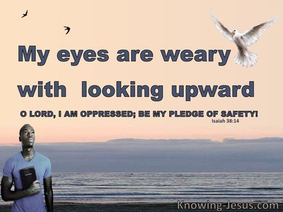 Isaiah 38:14 My Eyes Are Weary With Looking (pink)